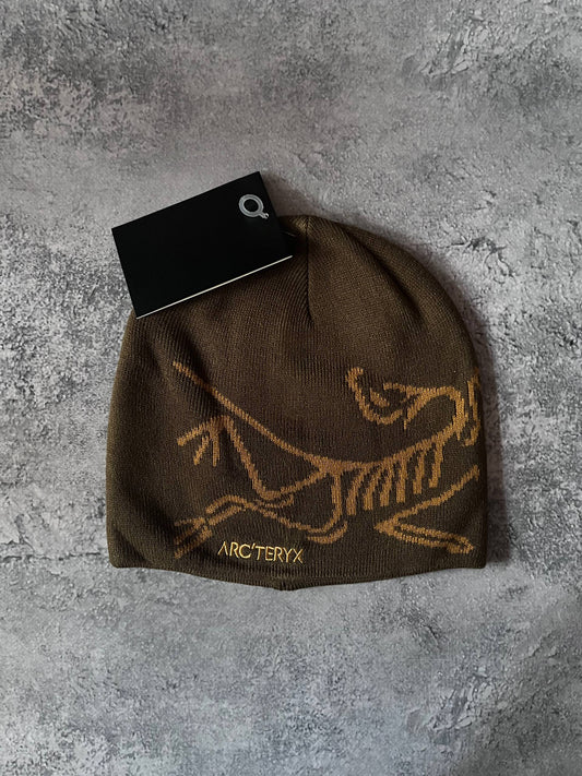 Шапки Arcteryx